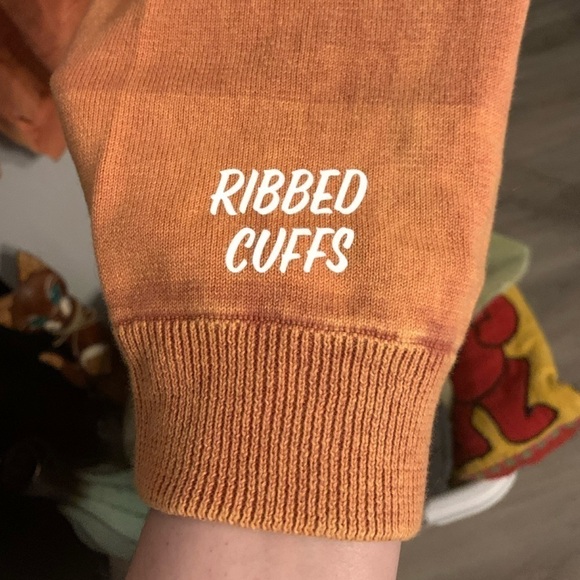 Brick LS V-Stitched Neck Striped Sweatshirt - Picture 7 of 9